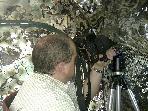 Fotografiando al Picapinos